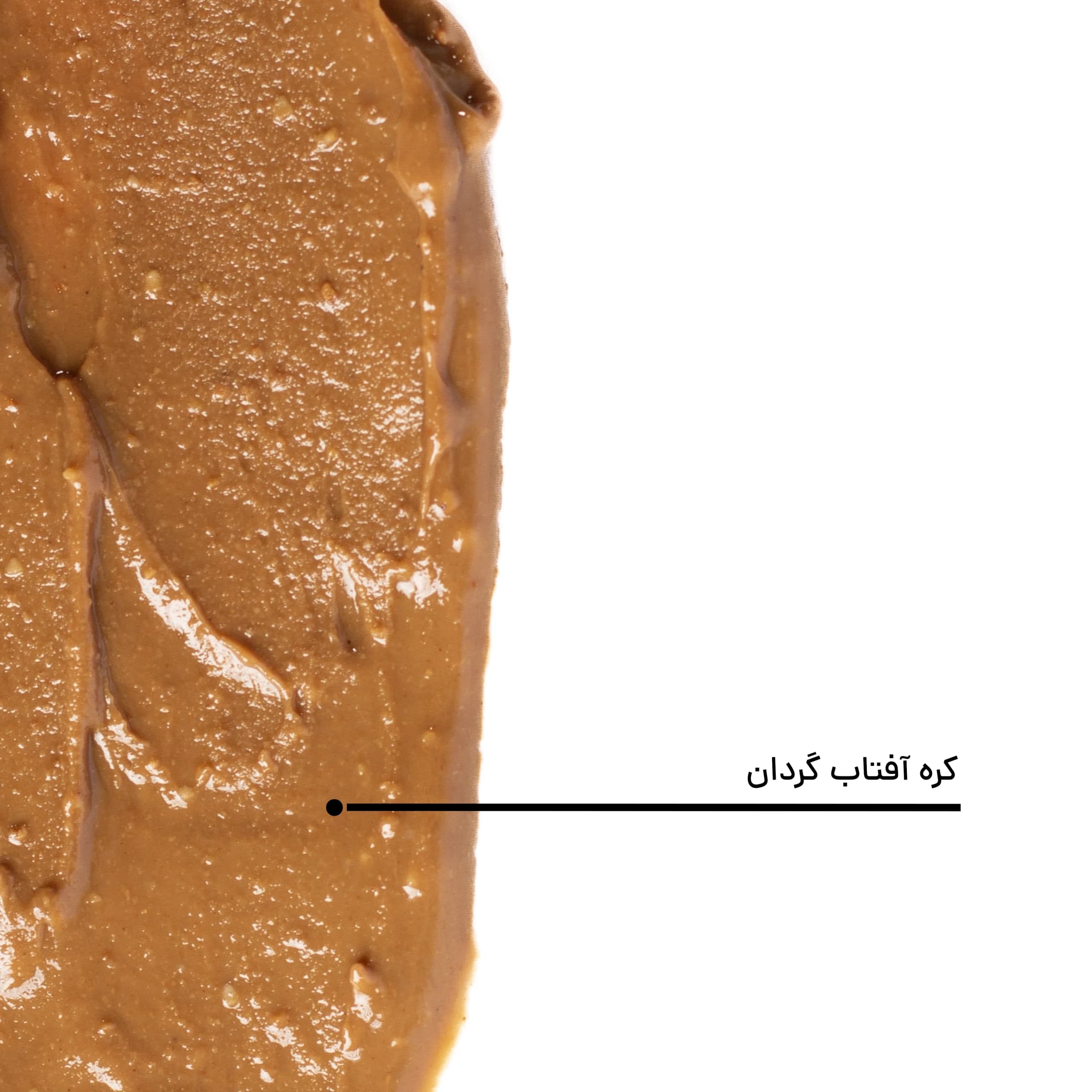 کره مغز تخمه آفتاب گردان — تصویر ۵