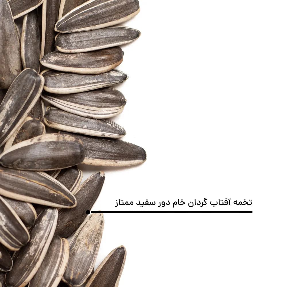 تخمه آفتابگردان دورسفید خام ممتاز — تصویر ۱۰