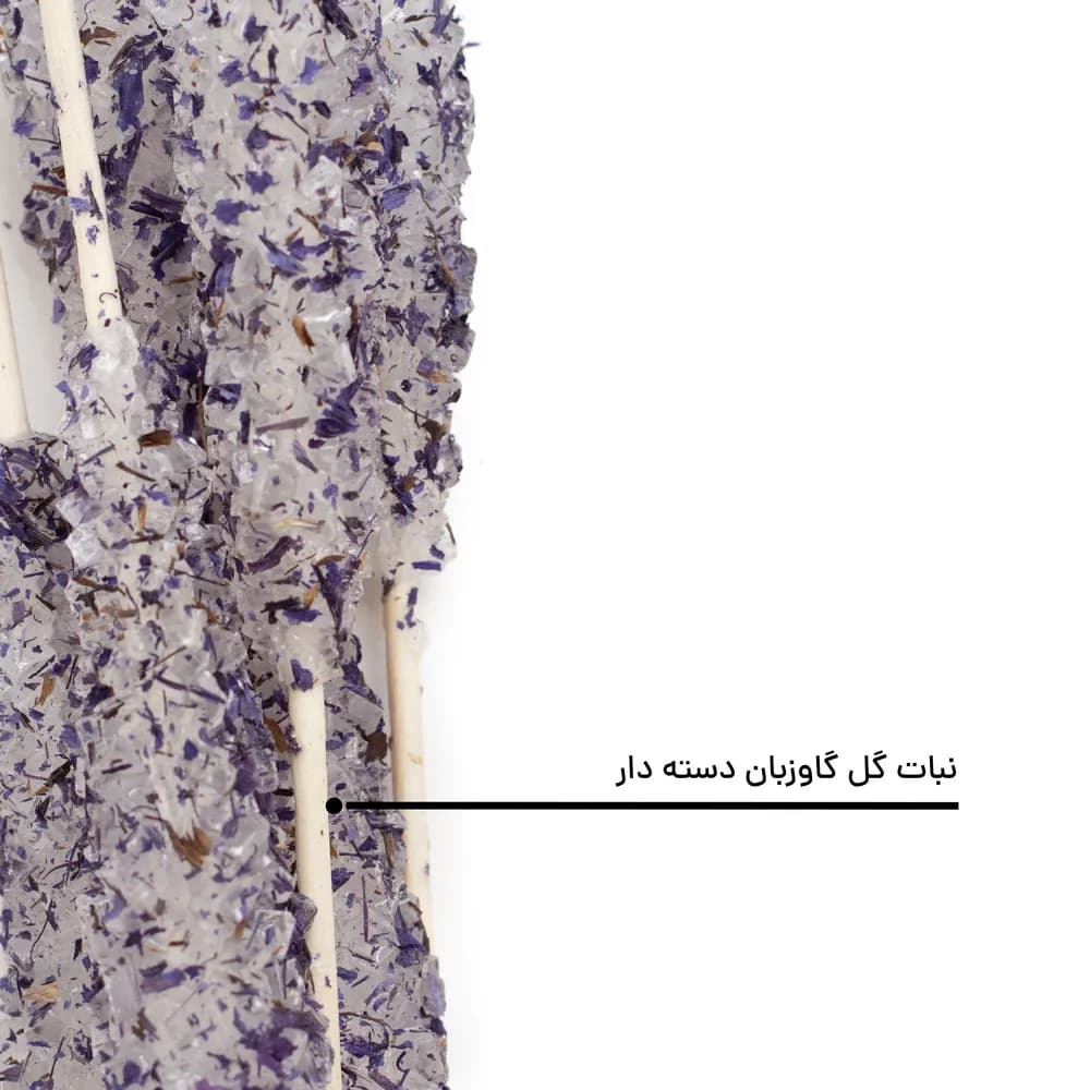 نبات گل گاو زبان دسته دار — تصویر ۱۲