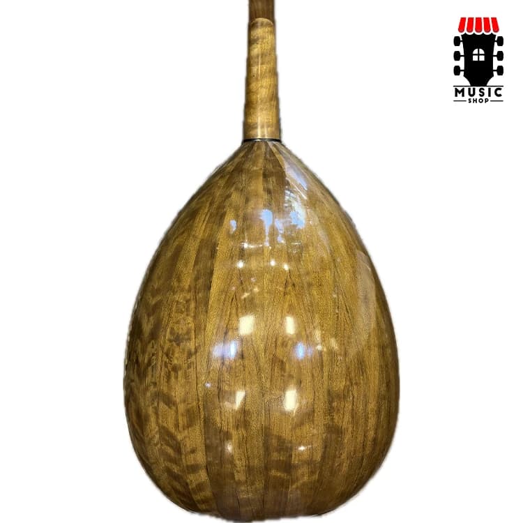 عود کازین — تصویر ۱۲