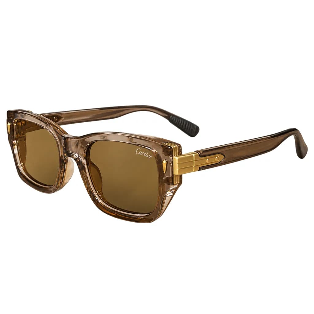 عینک آفتابی کارتیر Cartier — تصویر ۳