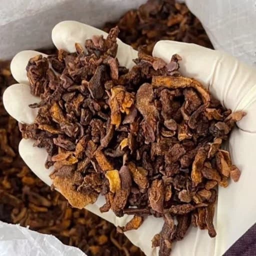 دمنوش گلابی درجه یک و ممتاز 250گرم (کیفیت عالی) عطر و طعم فوق العاده چای گلابی