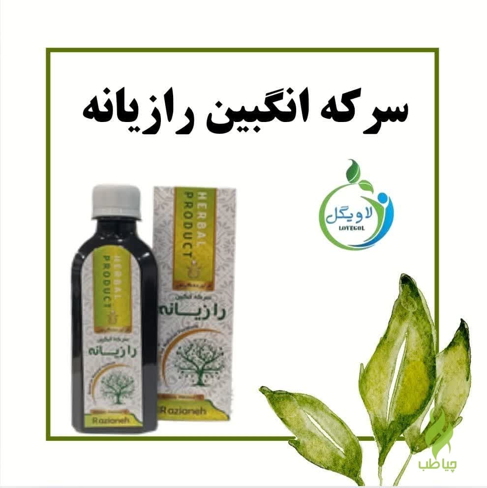 سرکه انگبین رازیانه دکتر خیراندیش (درمان اختلال هورمونی بانوان) — تصویر ۲