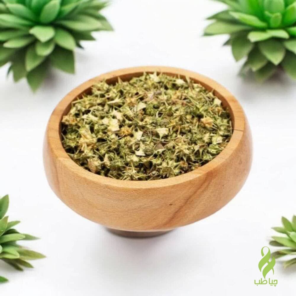 گیاه خارخاسک (دفع سنگ کلیه) — تصویر ۲
