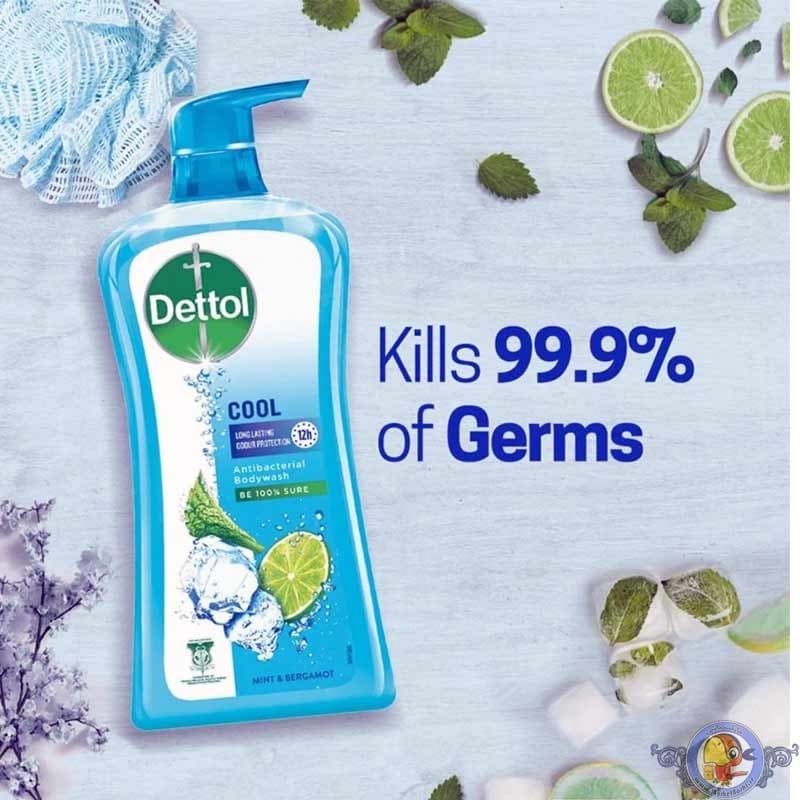 شامپو بدن پمپی آنتی باکتریال دتول مدل Cool icy mint — تصویر ۷