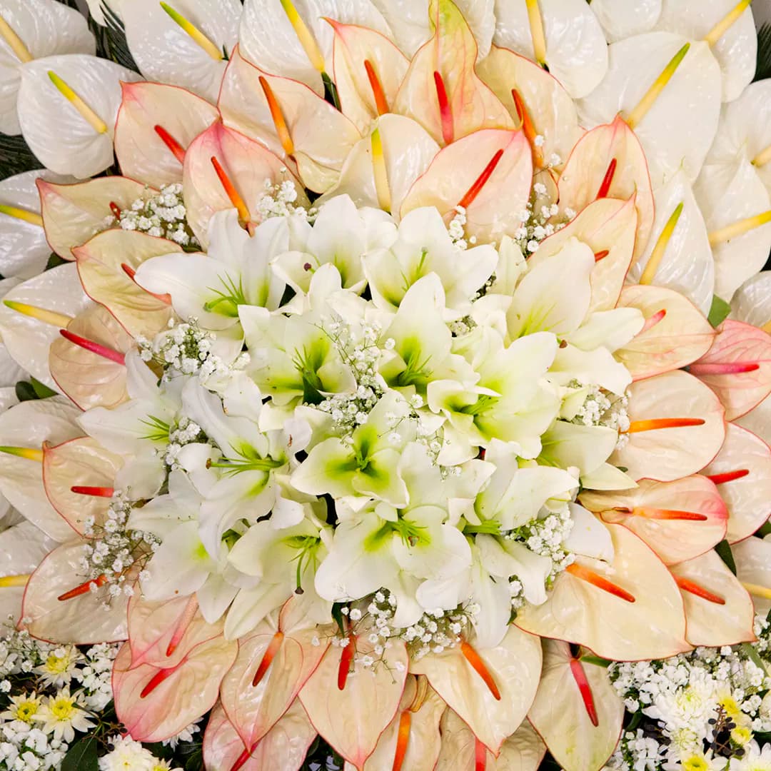 تاج گل ترحیم 1 طبقه کد 8620+ارسال رایگان |باختر — تصویر ۶