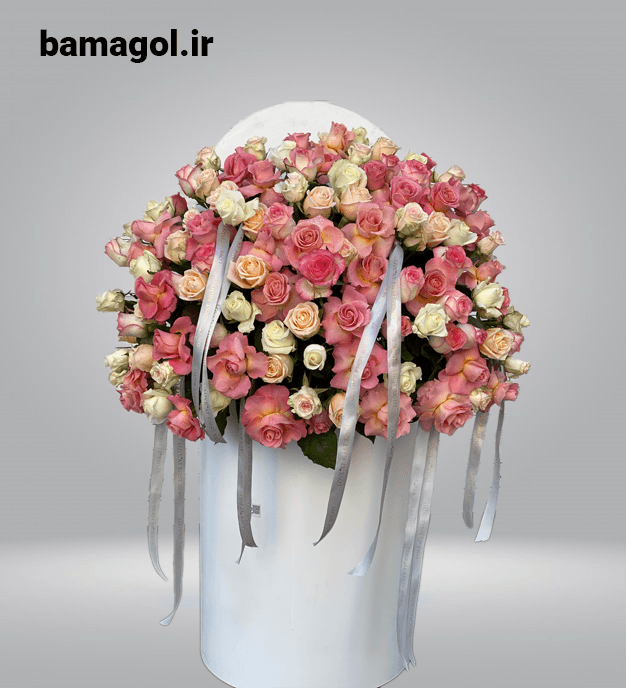 باکس گل روز پدر حجیم صد شاخه رز صورتی سفید – کد 1136