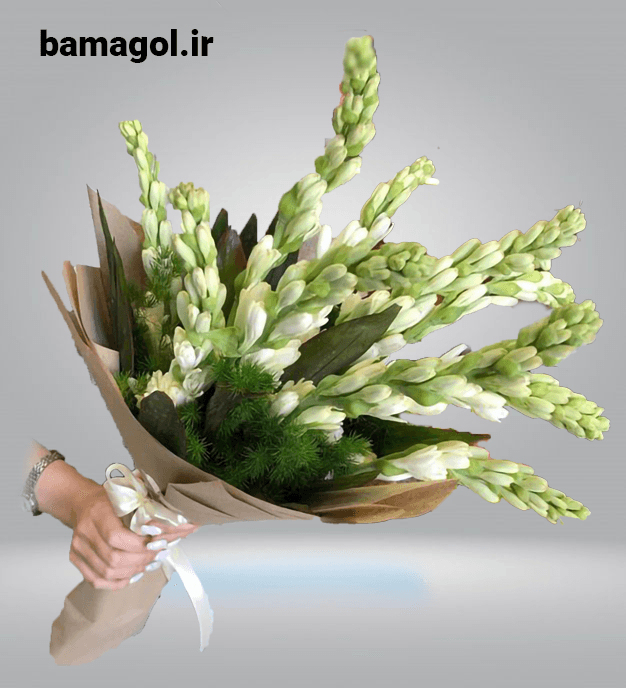 دسته گل گرد مریم مشهد کد 0079
