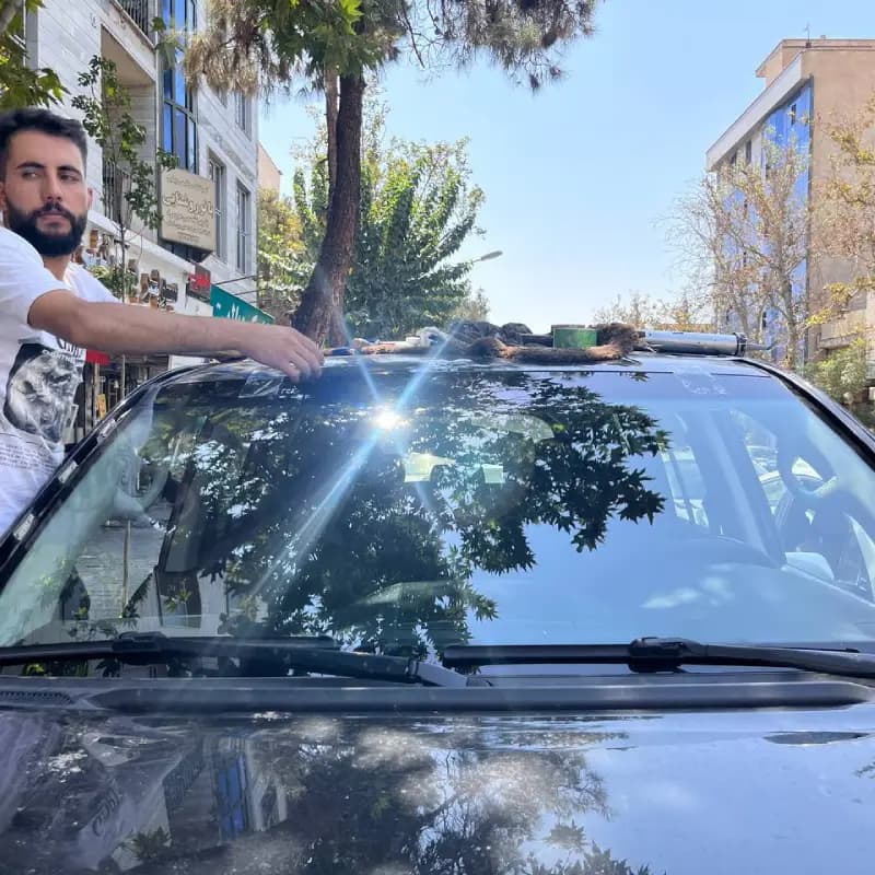 شیشه جلو تویوتا لندکروز — تصویر ۴