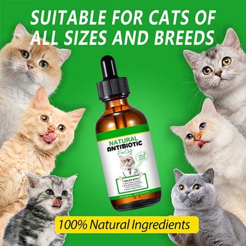 قطره آنتی بیوتیک طبیعی گربه اویمال ایرلند 60 میل — تصویر ۹