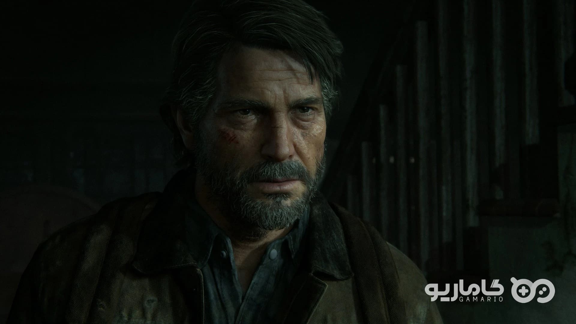 The Last of Us Part II — تصویر ۱۱