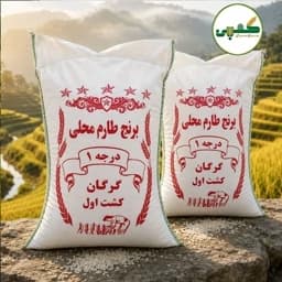 برنج طارم محلی کشت اول — تصویر ۳