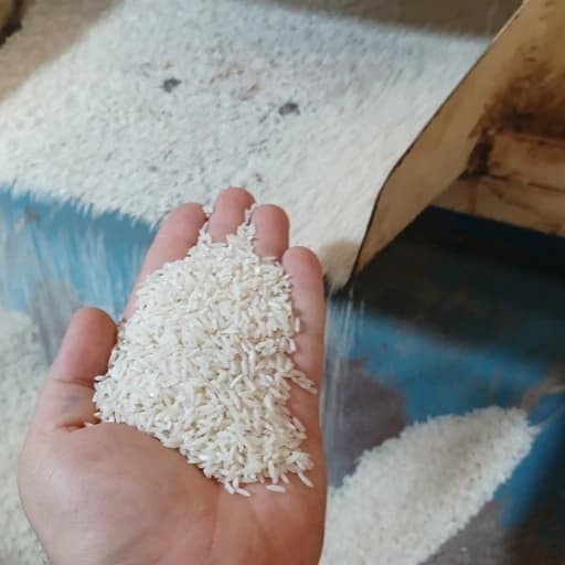 برنج طارم هاشمی خوش عطر و طعم تضمین کیفیت ومرجوعی — تصویر ۴
