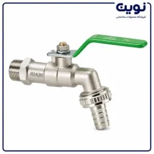 شیر حیاطی ریابی — تصویر ۴