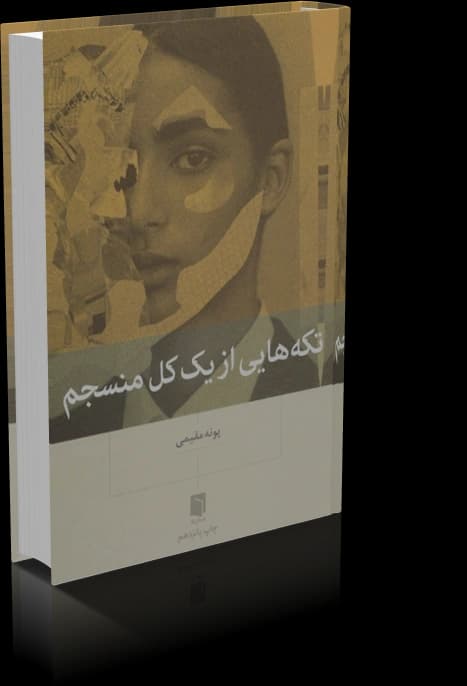 دانلود کتاب تکه هایی از یک کل منسجم — تصویر ۲