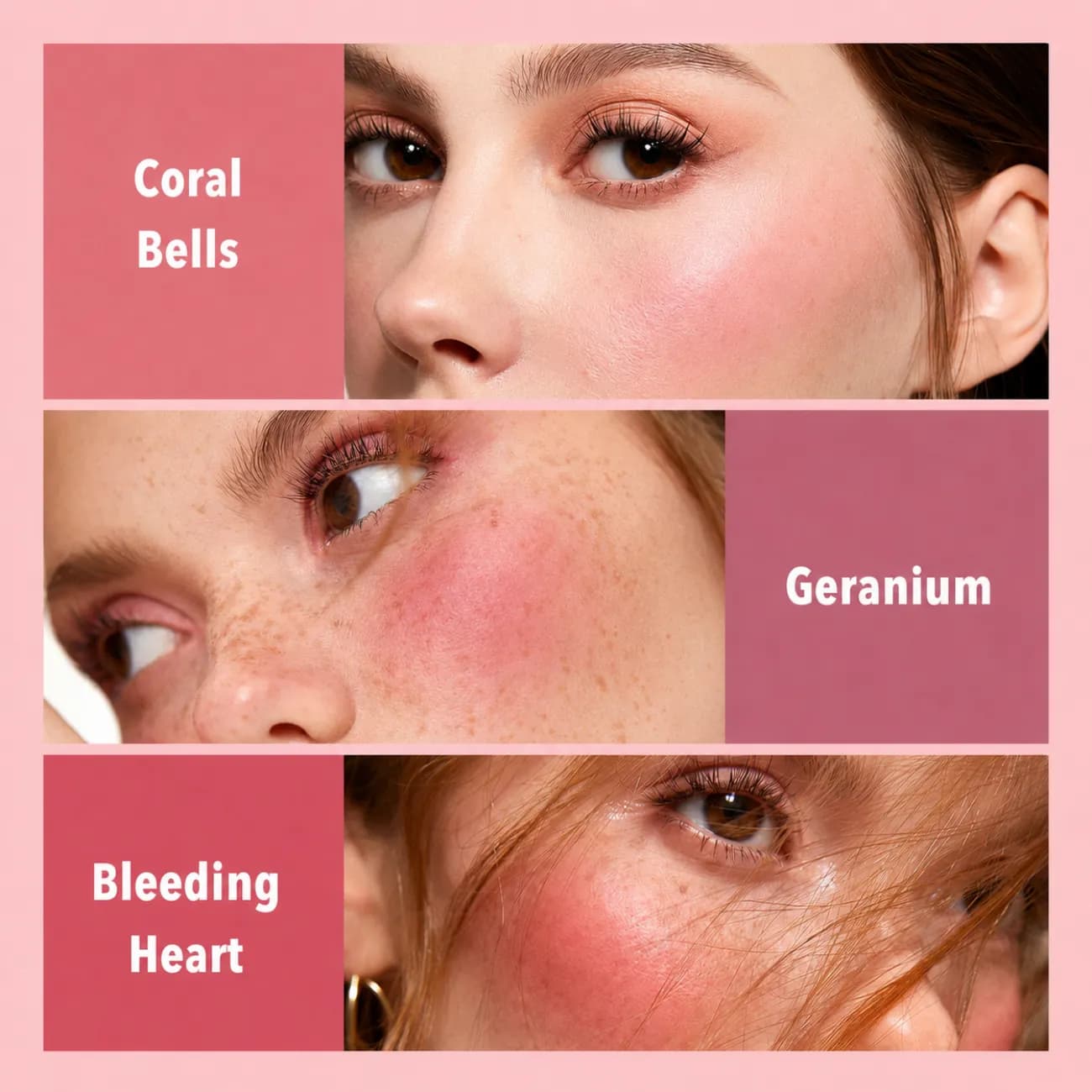 پالت رژگونه شیگلم SHEGLAM اصل مدل Floral Flush در 6 رنگ — تصویر ۷