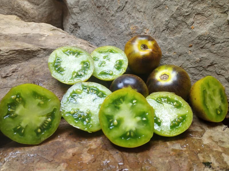 بذر گوجه واگنر ( اورجینال خارجی ) — تصویر ۲