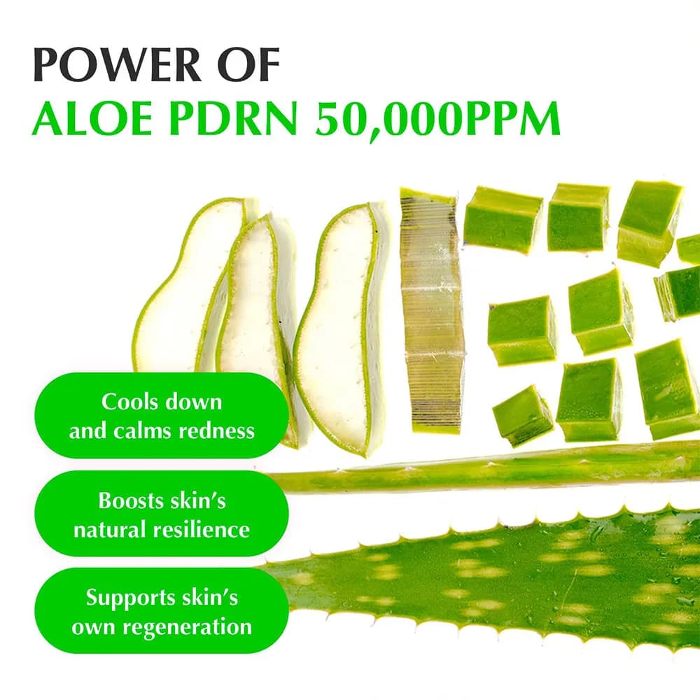 سرم آلوئه ورا و PDRN ترمیم و احیا اکوال بری EQQUALBERRY Aloe PDRN Calming Serum — تصویر ۶
