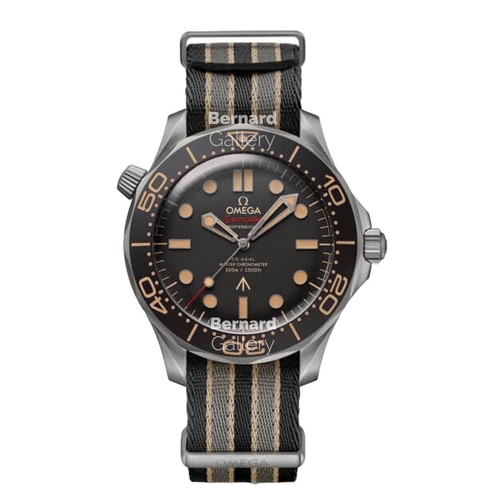 ساعت مچی مردانه امگا Omega Seamaster 007