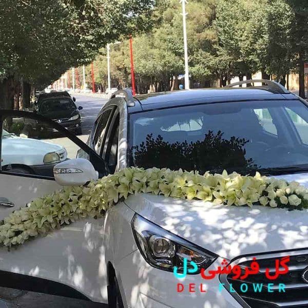 تزیین ماشین عروس در محل 604
