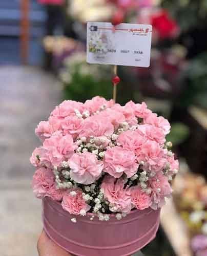 جعبه گل سطلی 237