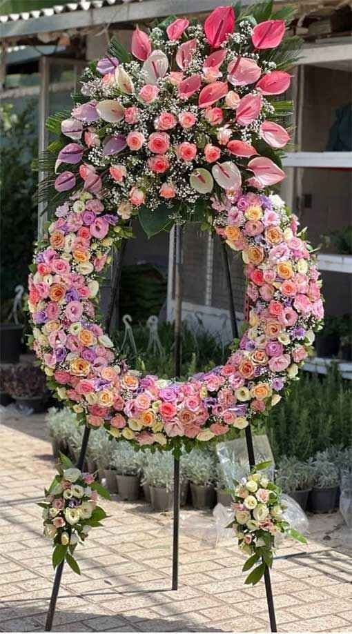 تاج گل 509