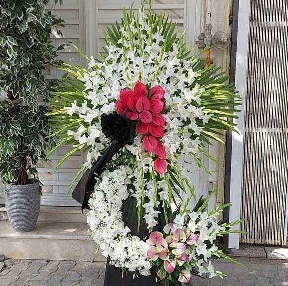 تاج گل 508