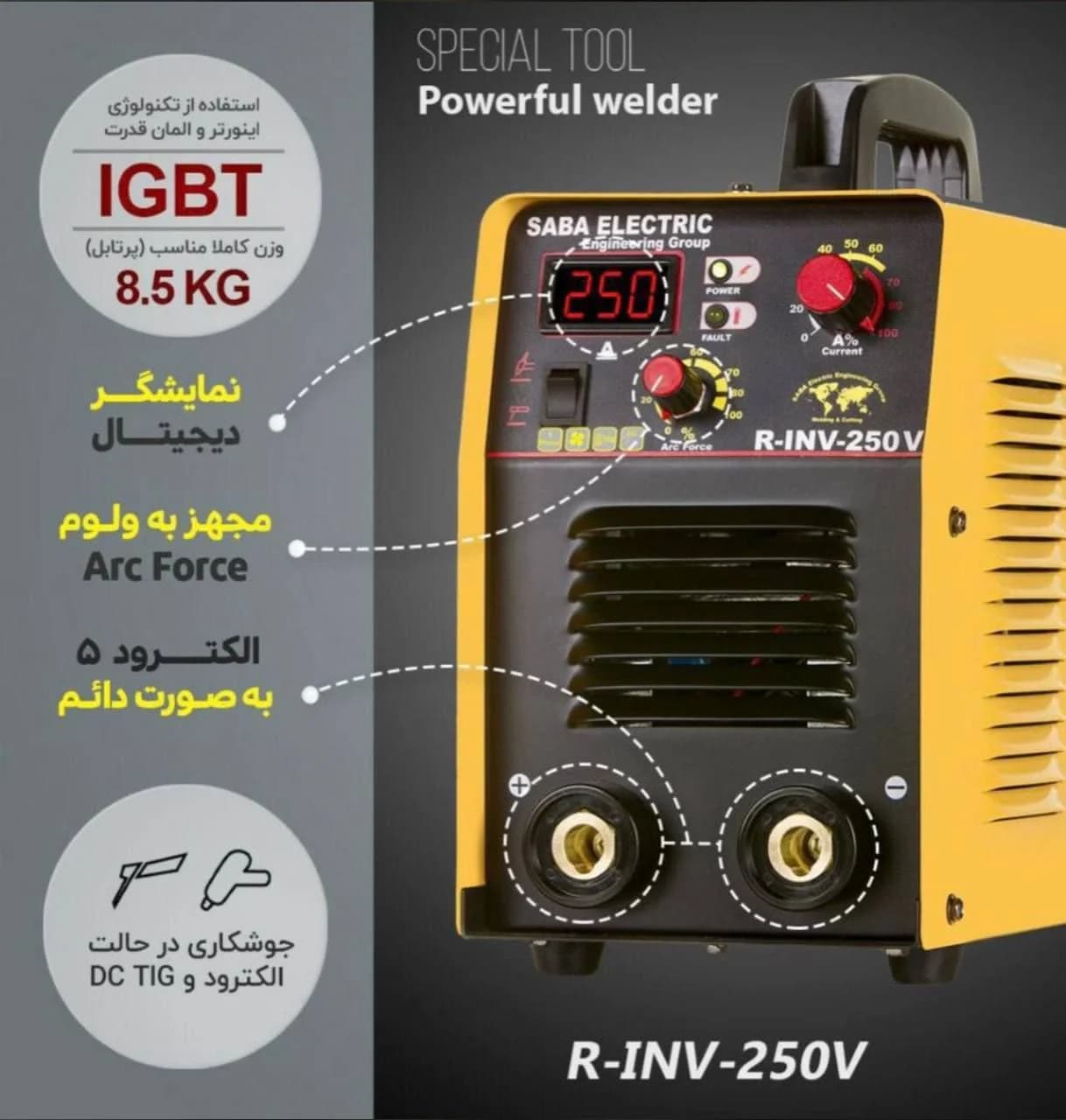 اینورتر صبا الکتریک(مشکی) مدل RINV-250-V — تصویر ۳