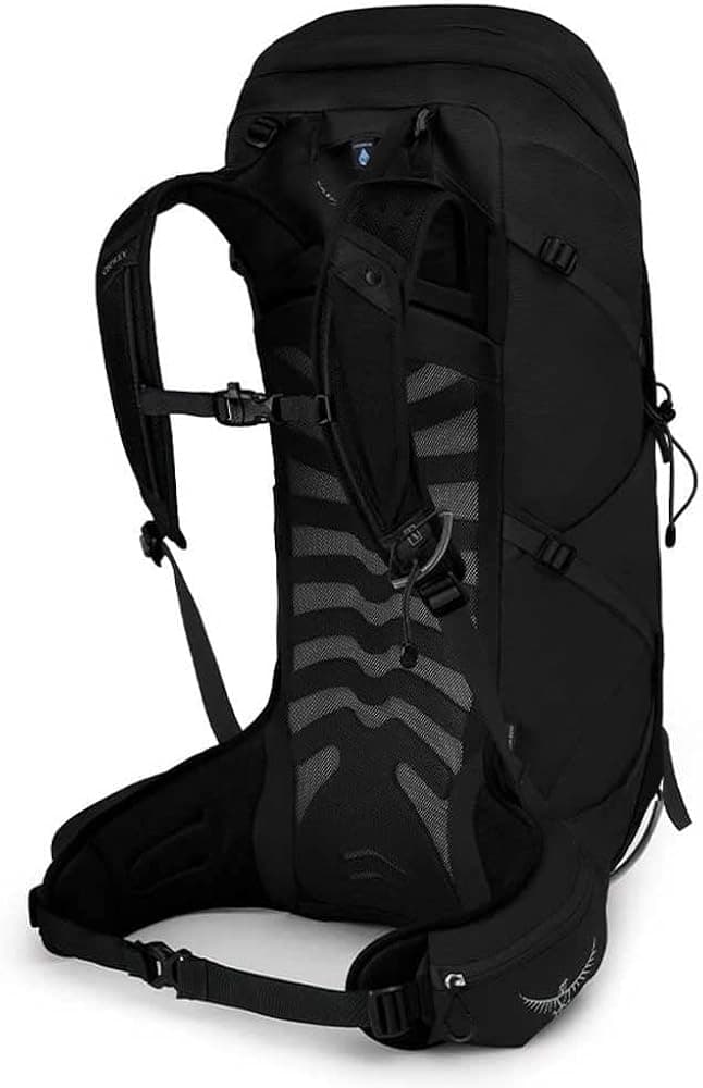 کوله پشتی آسپری تالون مدل Osprey Talon 36 — تصویر ۷