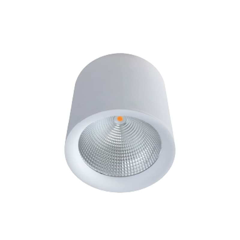 چراغ شعاع مدل سقفى روکار SH-ML4022-20W
