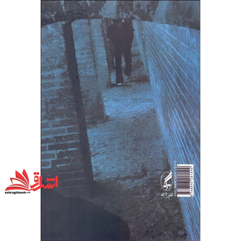 کتاب جامعه شناسی جوانان ایران — تصویر ۳