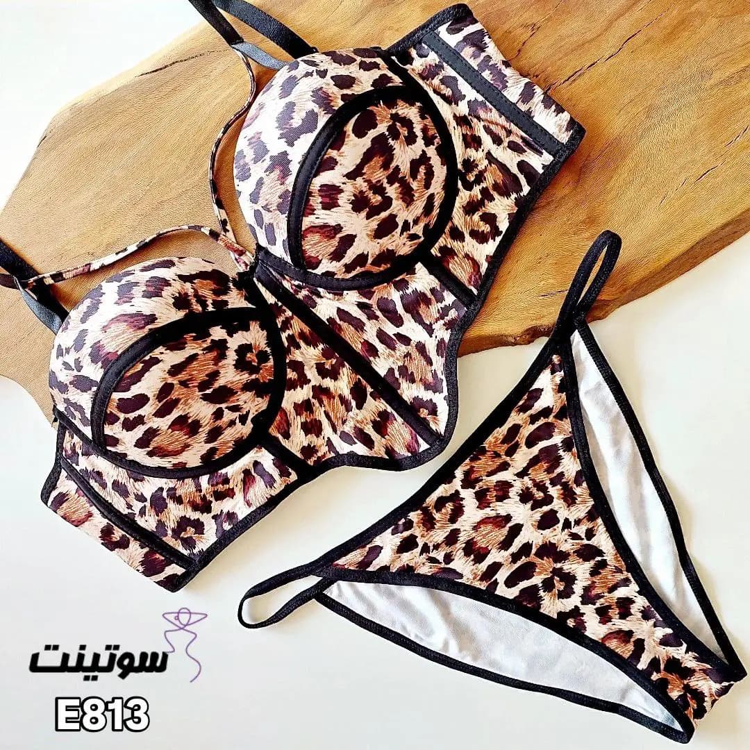 ست فانتزی هارنسی 813