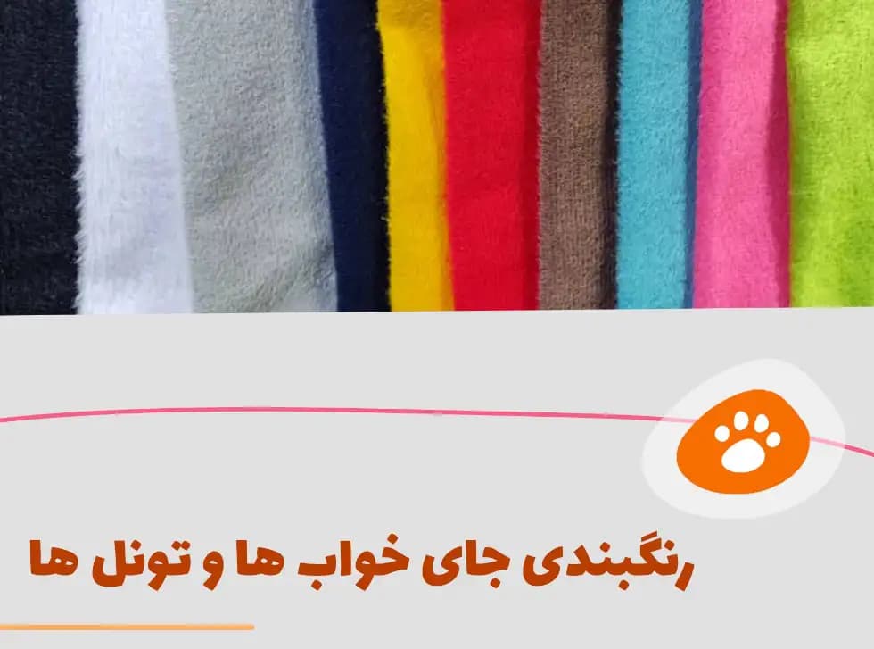 اسکرچر گربه مدل B44 — تصویر ۴