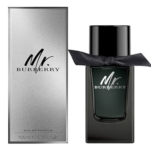 عطر و ادکلن مردانه باربری مستر باربری ادو پرفیوم | BURBERRY / Mr. BURBERRY EDP