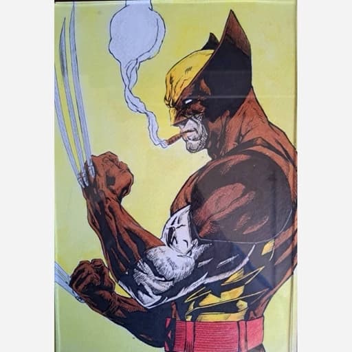 تابلو نقاشی مدادرنگی و آبرنگ wolverine از marvel