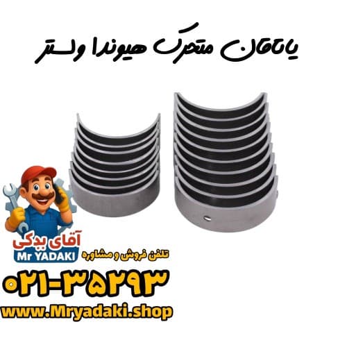 یاتاقان متحرک هیوندا ولستر — تصویر ۳