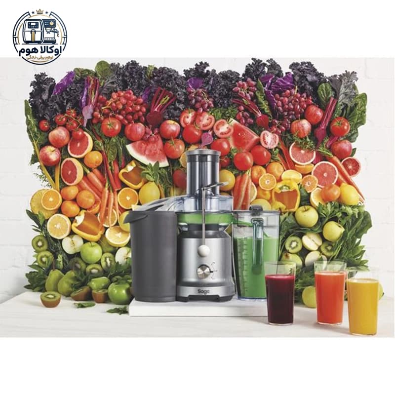 آبمیوه گیری سیج مدل BJE430SIL — تصویر ۹