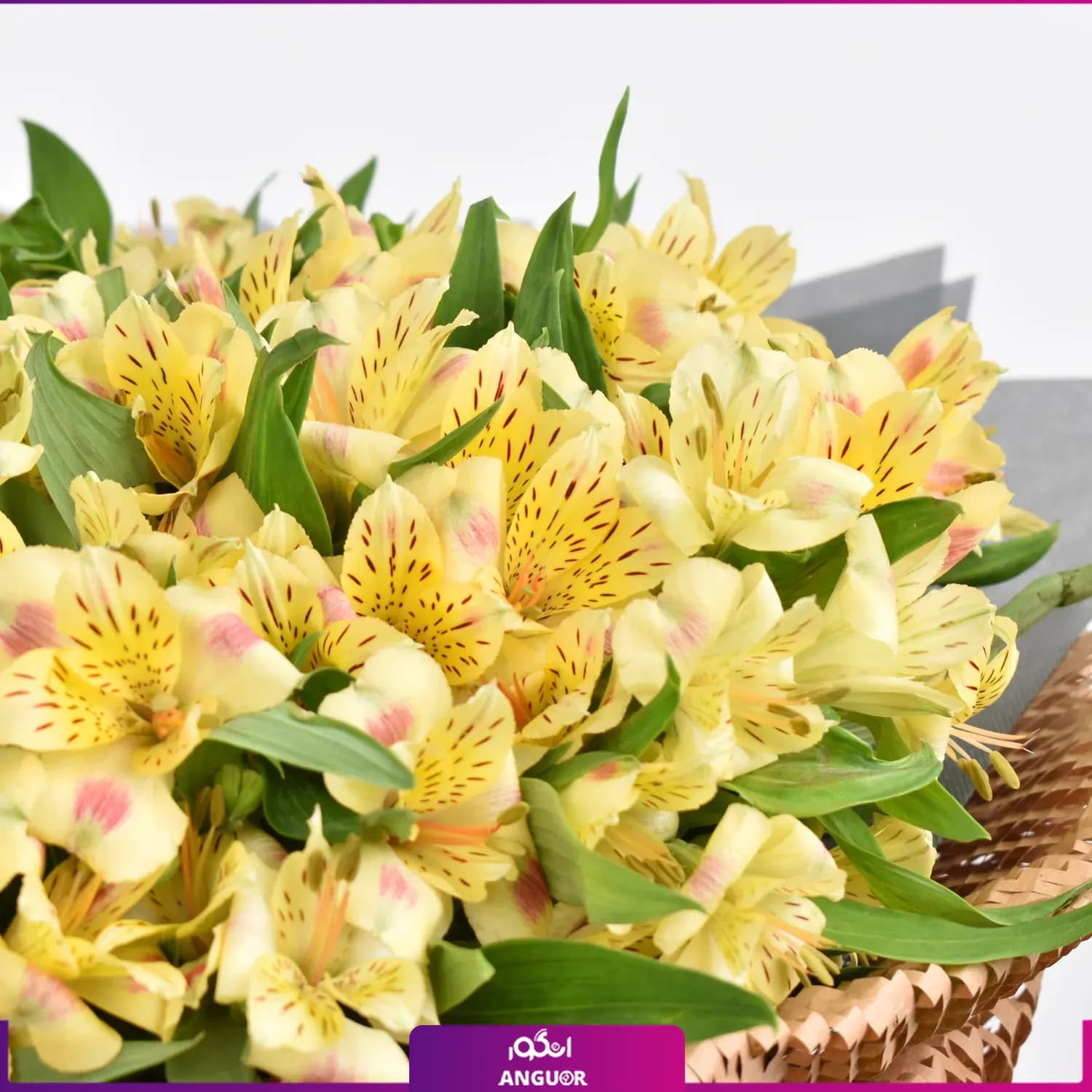 دسته گل آلسترومریا نارنجی (طرح بین الملل ) — تصویر ۷