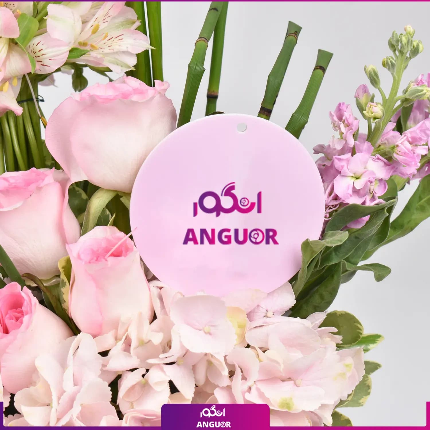 باکس گل دیبا (طرح بین الملل ) — تصویر ۴