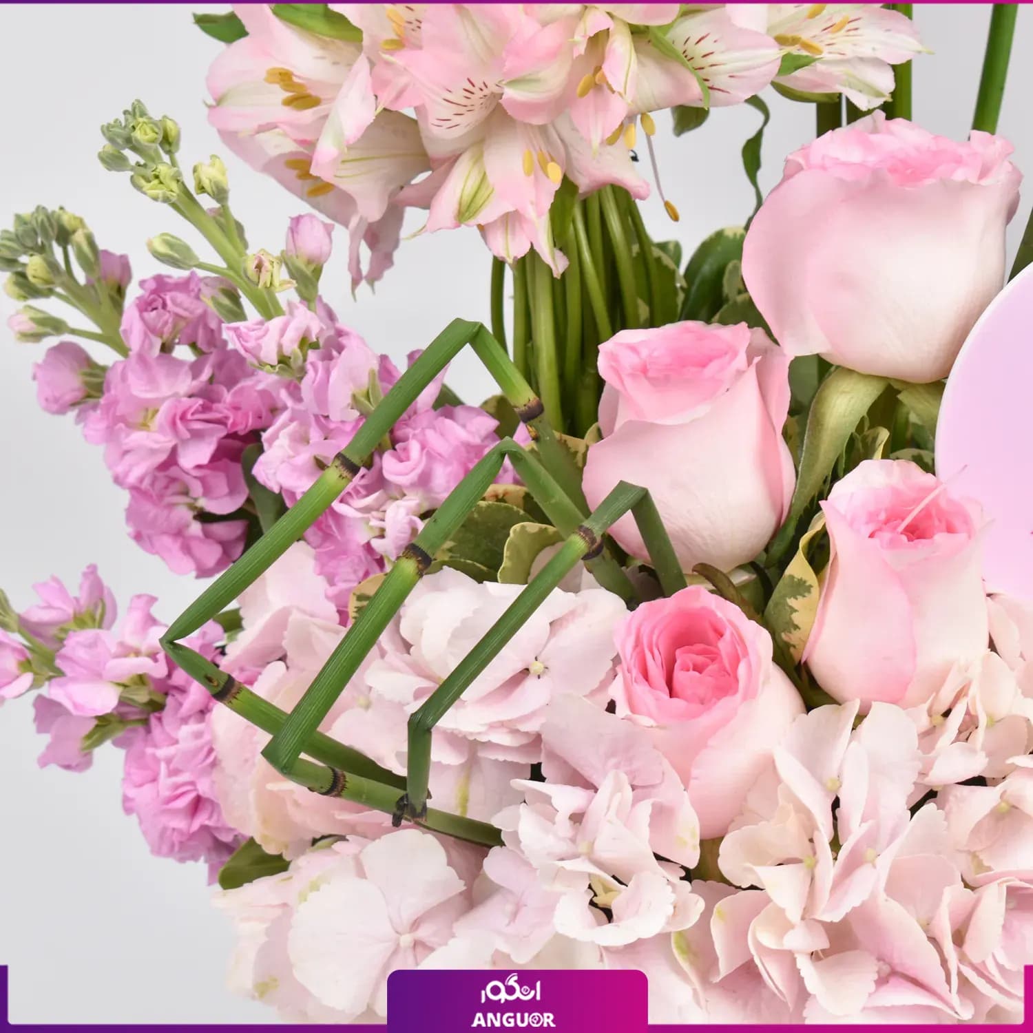 باکس گل دیبا (طرح بین الملل ) — تصویر ۳