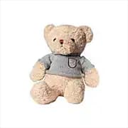 6 inch Teddy Bear