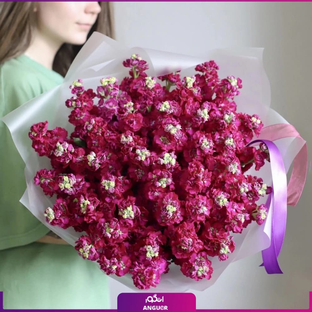 دسته گل شب بو ارغوانی 49 عددی