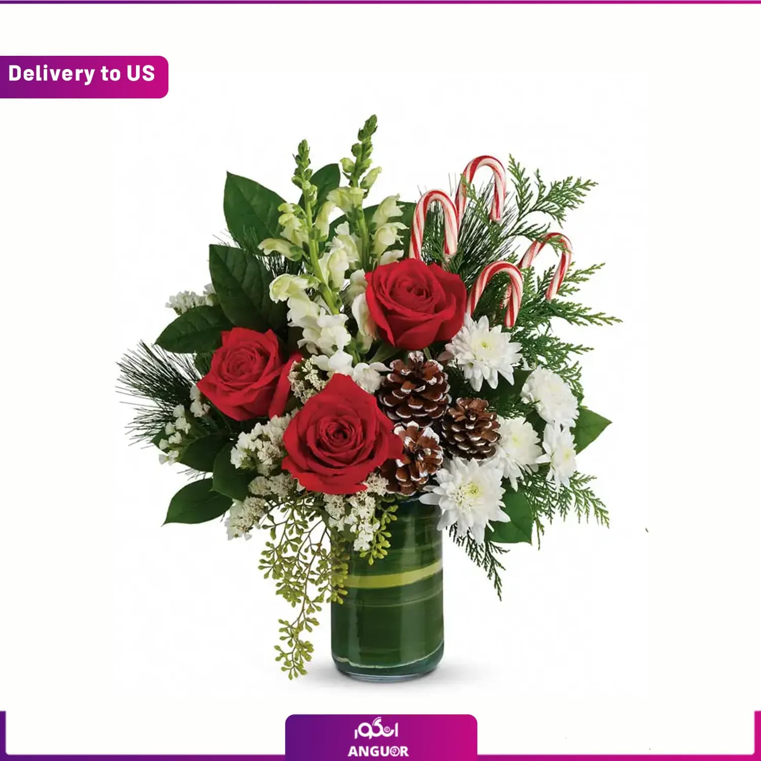 (Delivery to USA) Candy Cane Bouquet — تصویر ۳