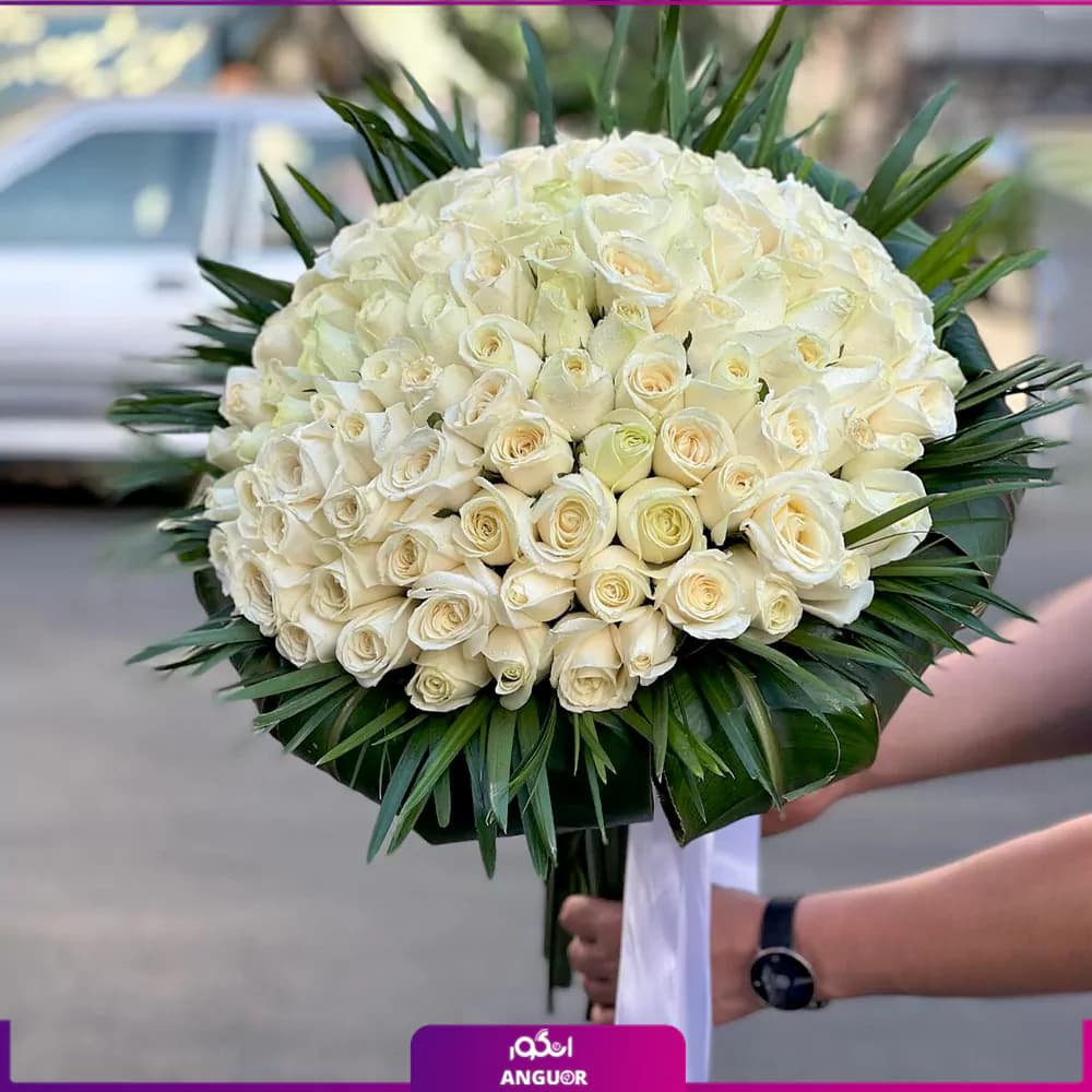 دسته گل بزرگ رز سفید – ۱۰۱ شاخه — تصویر ۲