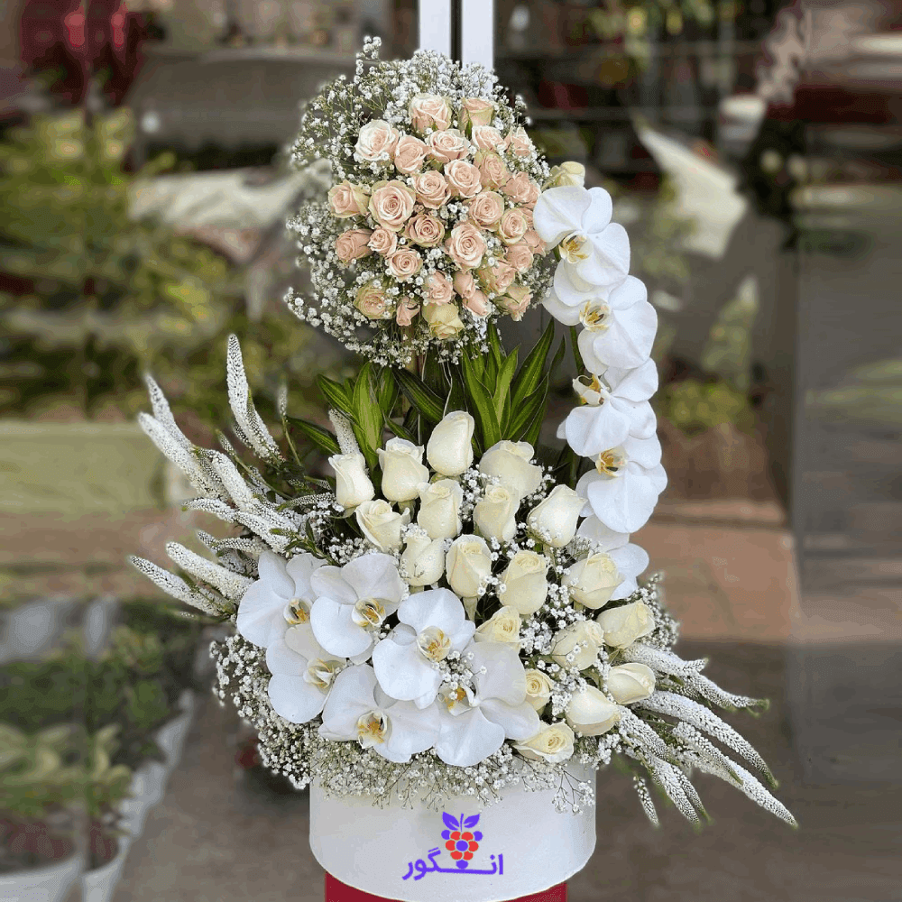 باکس گل آیلی