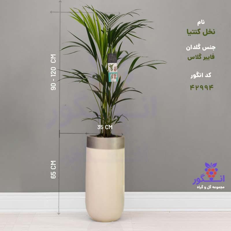گلدان هدیه لوکس نخل کنتیا (160 تا 180 سانتی) | فایبر گلاس رنگ دلخواه — تصویر ۳