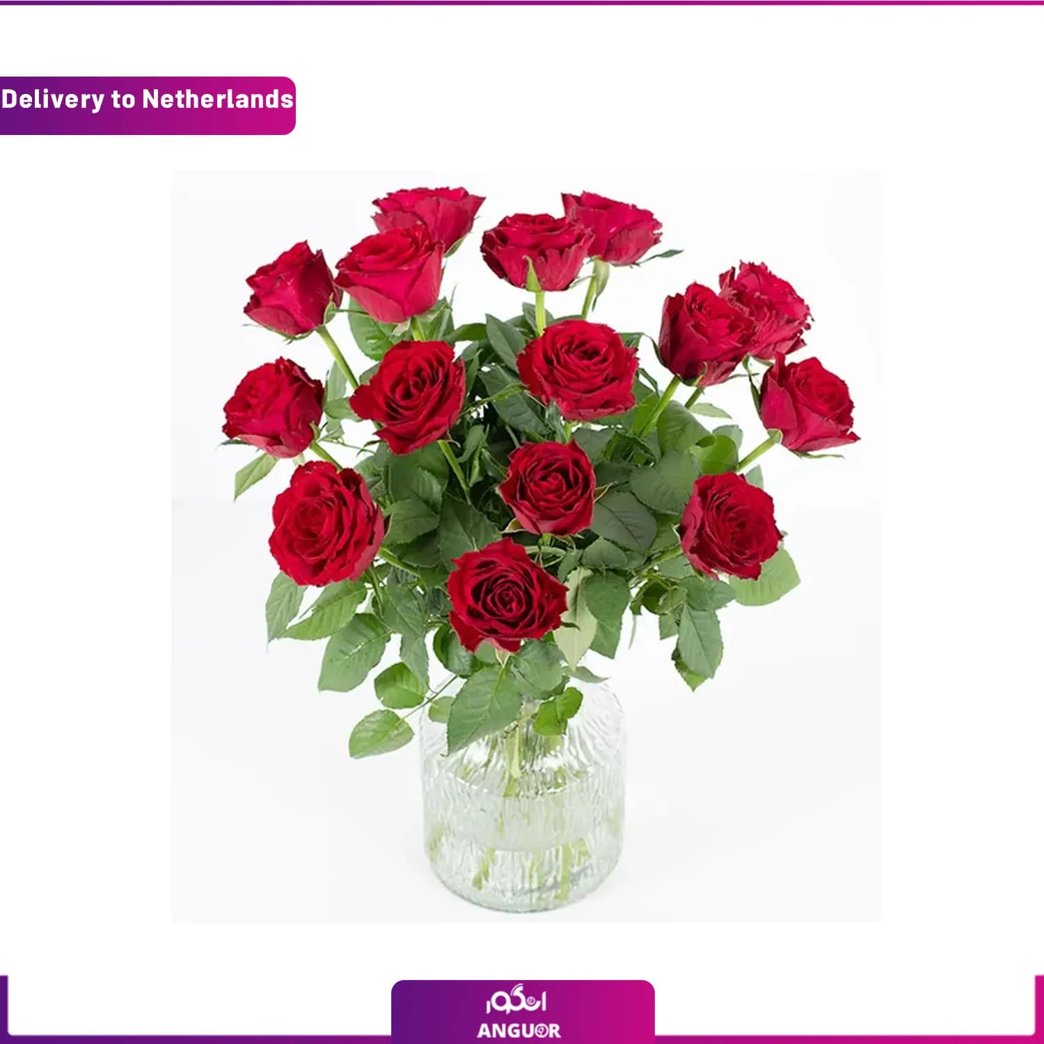 دسته گل رز 15 شاخه (تحویل در هلند)