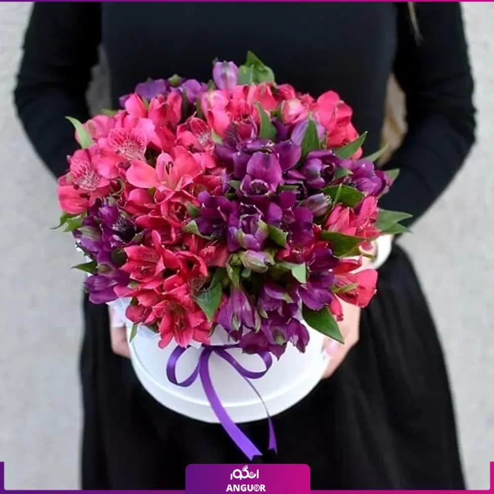 باکس گل آلسترومریا 15 شاخه