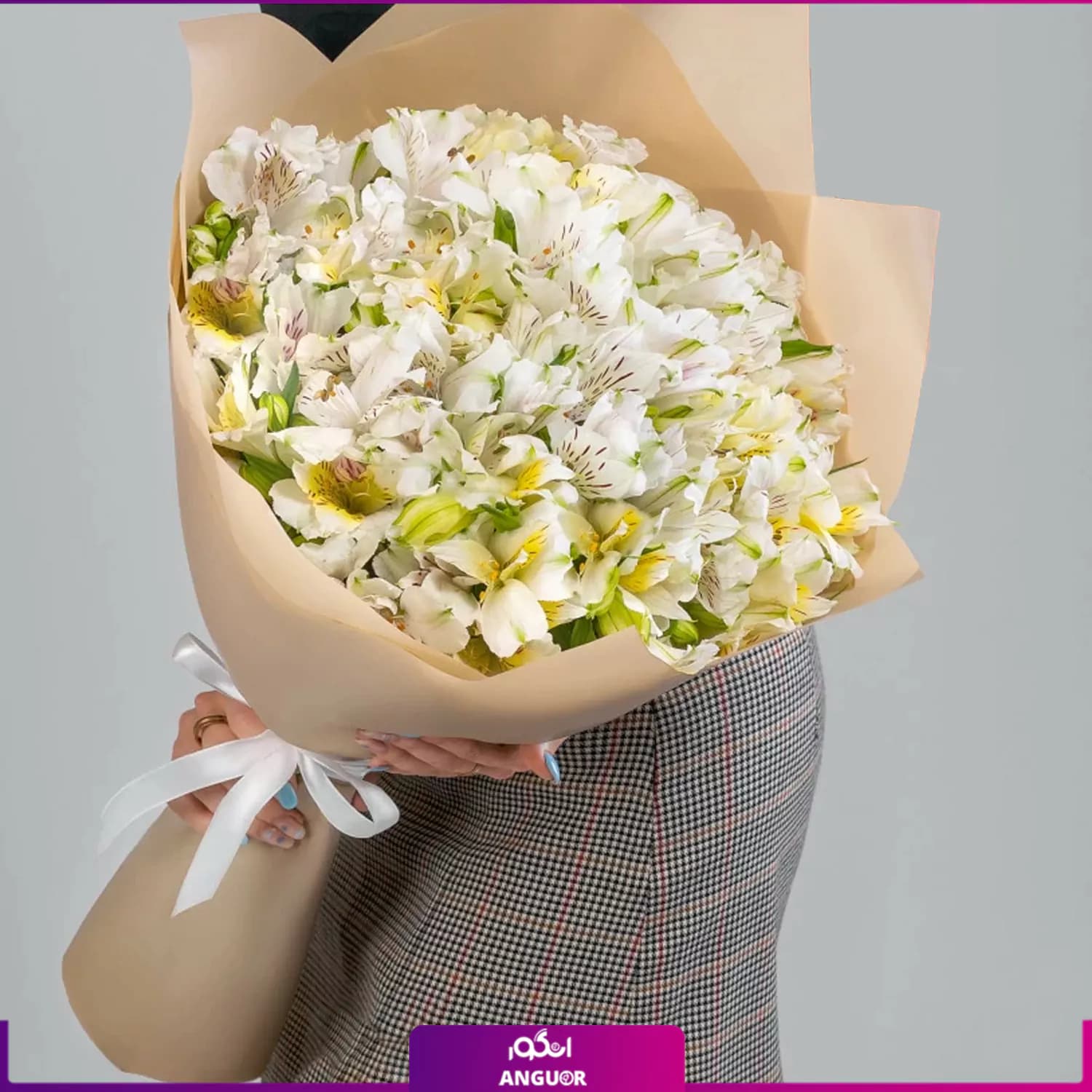 دسته گل آلسترومریا سفید 29 شاخه