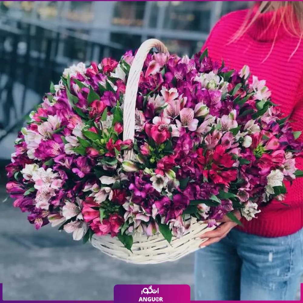 سبد گل آلسترومریا — تصویر ۲